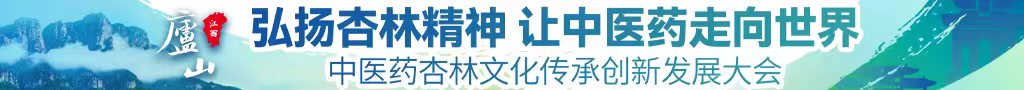 日逼视频啊啊网站中医药杏林文化传承创新发展大会